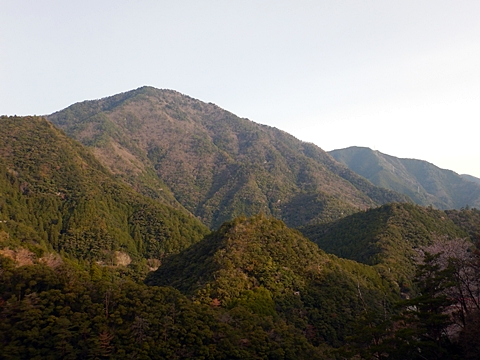 風屋ダムから高時山