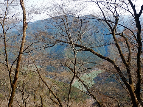高時山、ブナ山