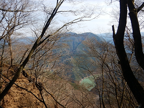 高時山、ブナ山
