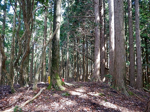 法主尾山最高点
