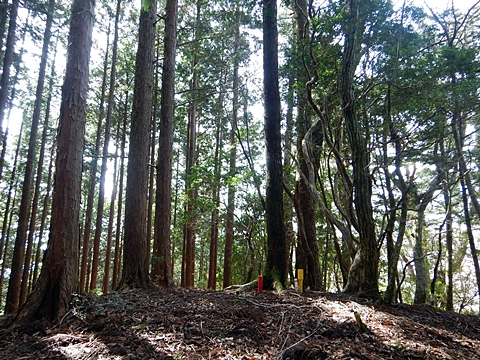 法主尾山最高点