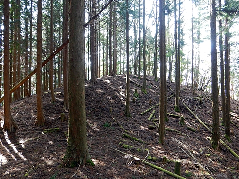 法主尾山最高点