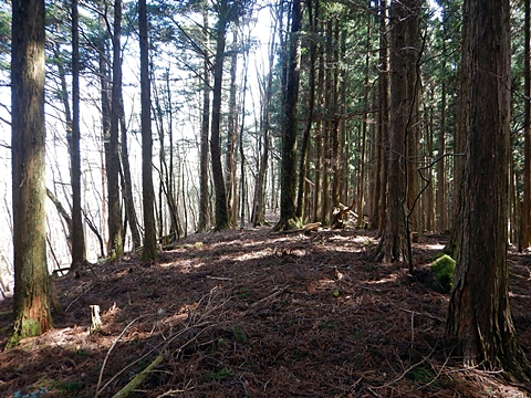 法主尾山頂上部