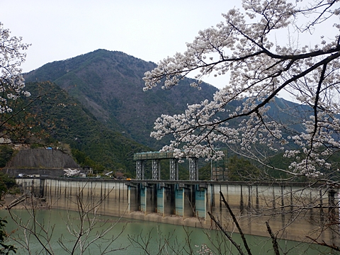 風屋ダムと高時山